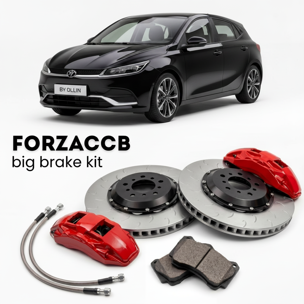 Black BYD Dolphin (2021-2025) shown above a ForzaCCB iron rotor big brake kit with 2x red 6-piston front calipers, 2x two-piece floating ventilated brake discs 380 mm, set of brake pads, and brake lines.