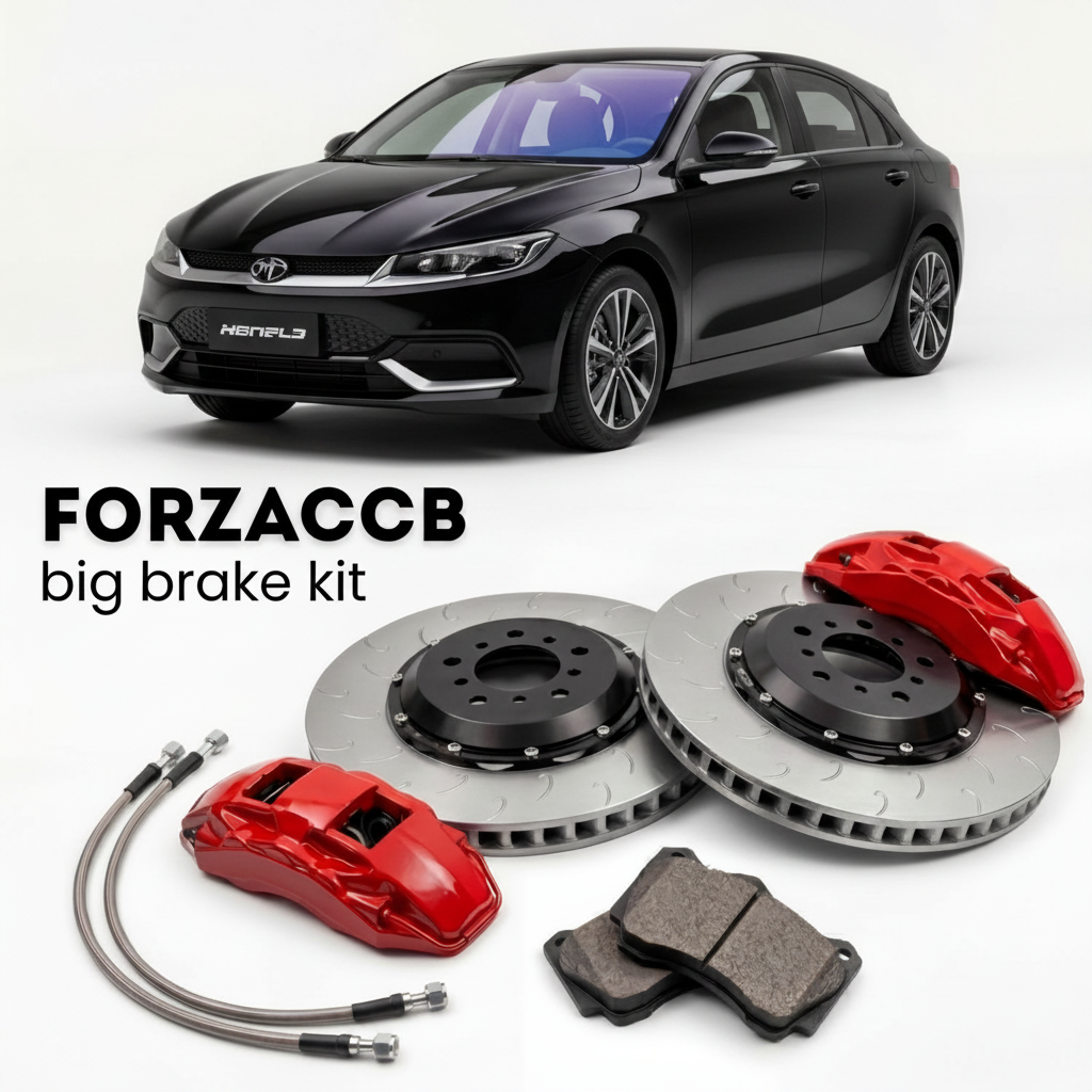 Black BYD Dolphin facelift 2025 (2025+) shown above a ForzaCCB iron rotor big brake kit with 2x red 6-piston front calipers, 2x two-piece floating ventilated brake discs 380 mm, set of brake pads, and brake lines.