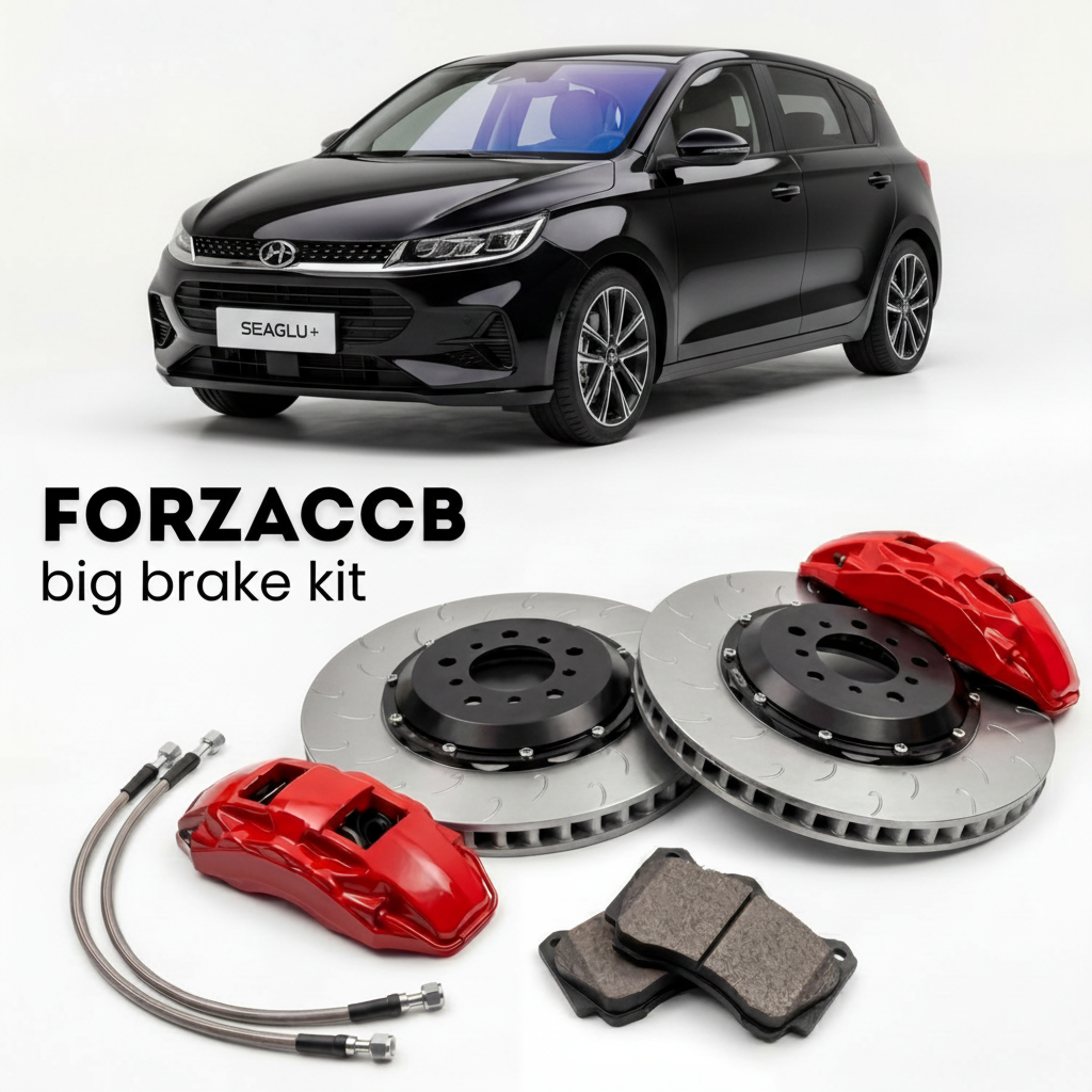 Black BYD Seagull facelift 2025 (2025+) shown above a ForzaCCB iron rotor big brake kit with 2x red 6-piston front calipers, 2x two-piece floating ventilated brake discs 380 mm, set of brake pads, and brake lines.