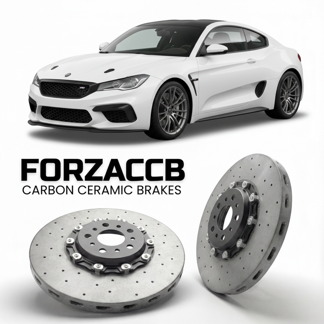 Carbon Ceramic Brake Rotors for Ligier JS2 R (2018-2026) | CCB OEM Replacement / Conversion Upgrade Kit