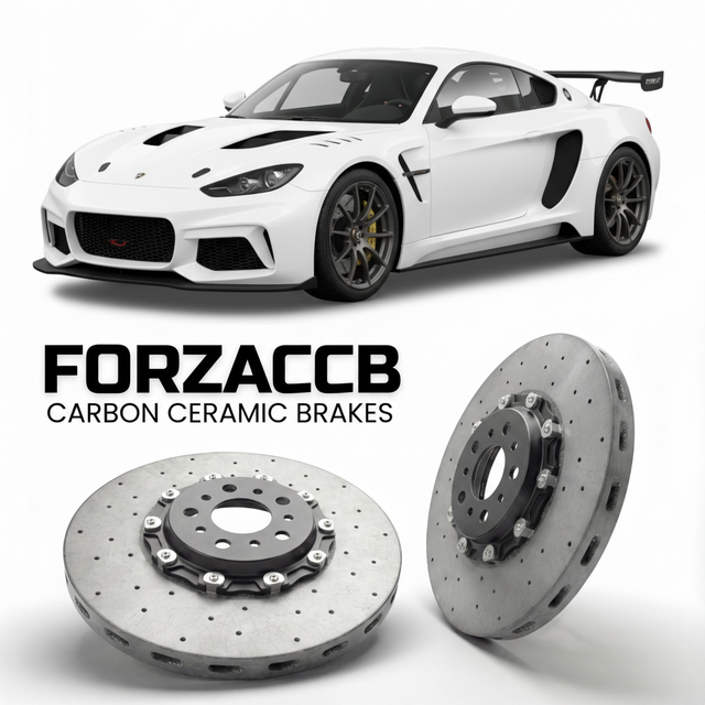 Carbon Ceramic Brake Rotors for Radical Sportscars RXC (2013-2026) | CCB OEM Replacement / Conversion Upgrade Kit